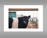 Belted Galloway Print - And that's how Belties are made - Kitchy & Co print