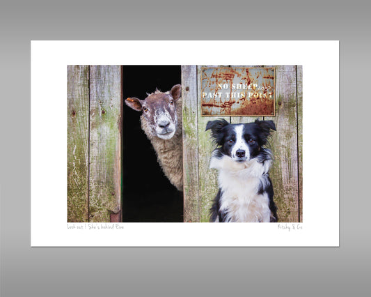 Border Collie and Sheep Print - Look out ! She's behind ewe - Kitchy & Co print