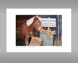 Shetland Pony Print - Try before you buy - Kitchy & Co print