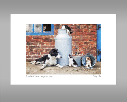 Border Collie and Farm Cats Print - Cats that got the cream - Kitchy & Co print