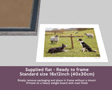 Sheepdog Print - Ewe take the Left - Kitchy & Co print
