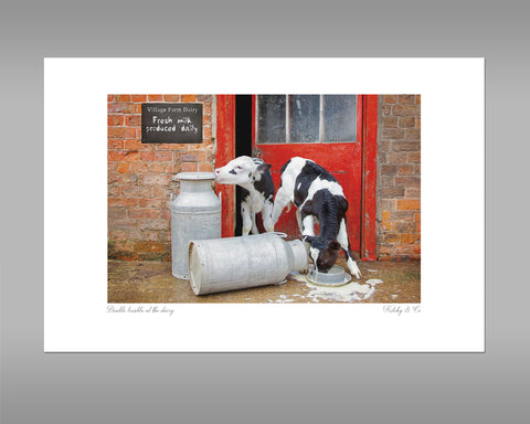 Dairy Calves Print - Double Trouble at the Dairy - Kitchy & Co print