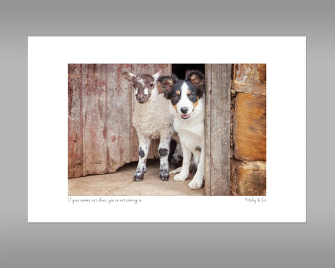 Tri Colour Border Collie Print - If your name's not down - Kitchy & Co print