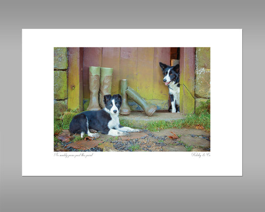 Border Collie Print - No Muddy Feet - Kitchy & Co print