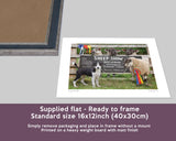 Sheep Show Print - Young Sheep Handler - Kitchy & Co print