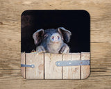 Happy Pig drinks Coaster - Did you bring cake ? - Kitchy & Co glass coaster