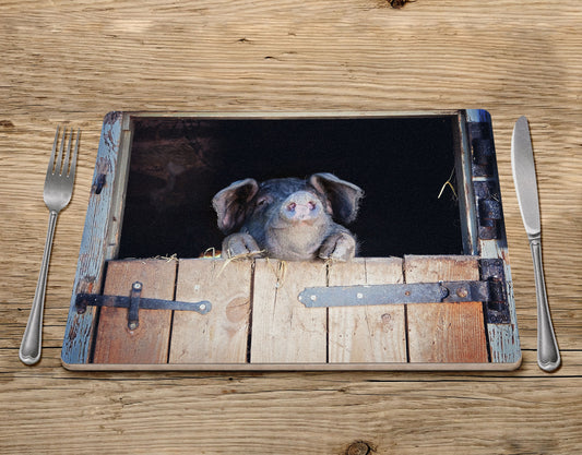 Happy Pig Placemat - Did you bring Cake - Kitchy & Co Placemat