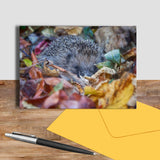 Hedgehog greetings card - Autumn Hoglet - Kitchy & Co