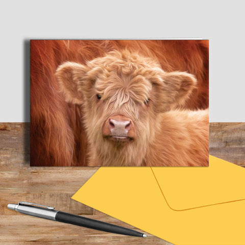 Highland calf greetings card - Fluffiness - Kitchy & Co