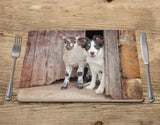Tri Colour Border Collie Placemat - If your name's not down - Kitchy & Co Placemat