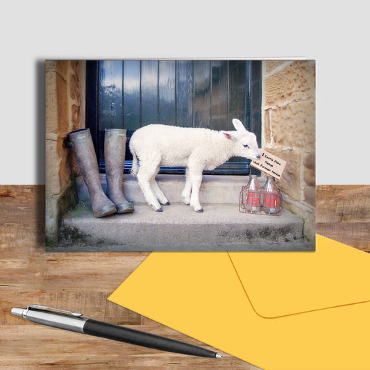 Petlamb greetings card - 2 Extra Pints - Kitchy & Co card