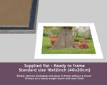 Highland Calves Print - Little Acorns - Kitchy & Co print