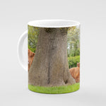 Highland Calves Mug - From little acorns mighty oaks grow - Kitchy & Co Mugs