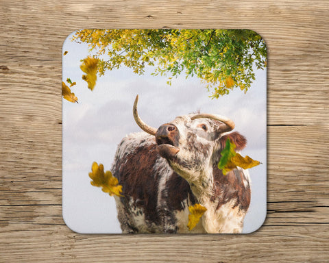 Longhorn cow drinks Coaster - Call of the fall - Kitchy & Co glass coaster