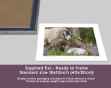 Swaledale Sheep Print - I've been looking for Ewe - Kitchy & Co print
