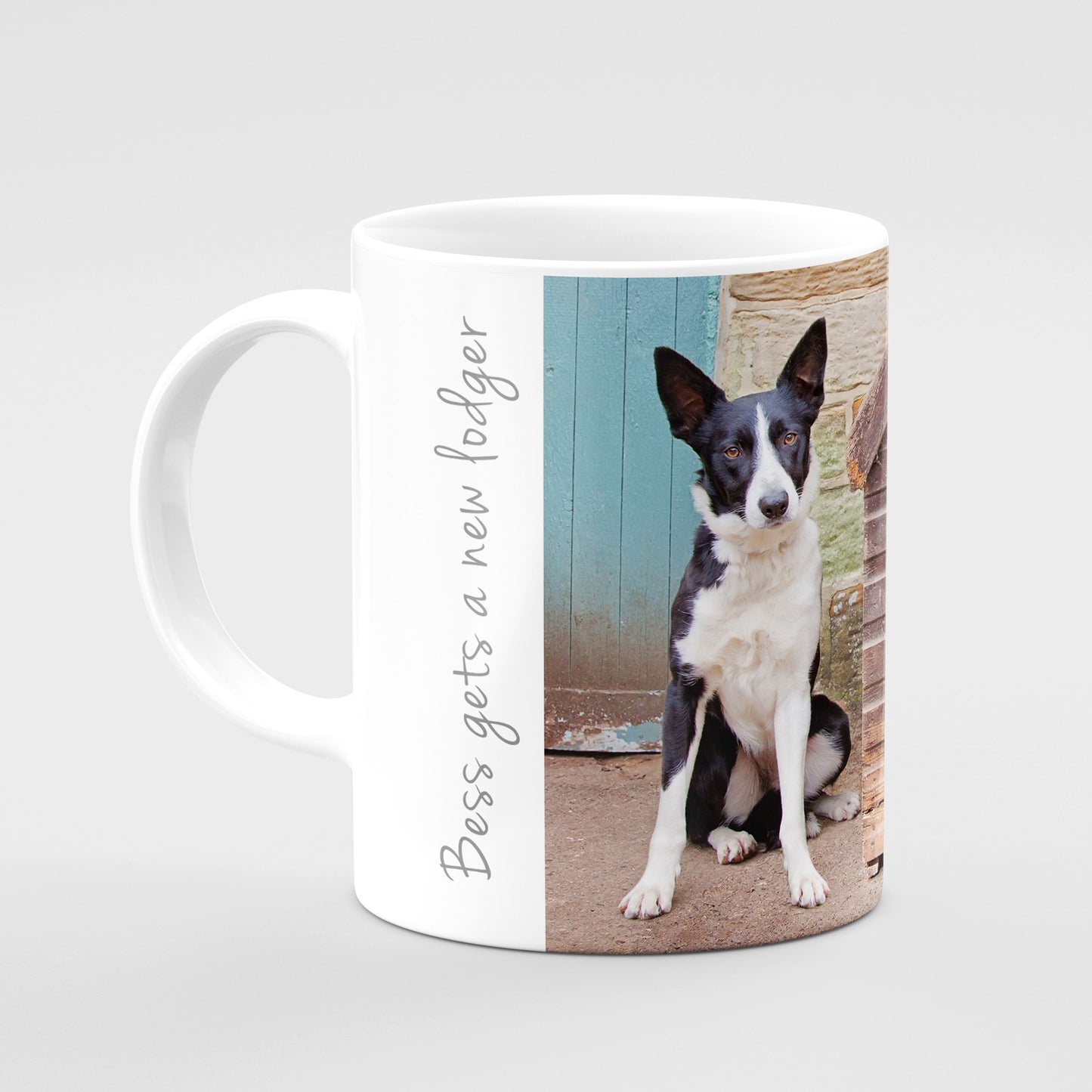 Border collie and Lamb Mug - Bess gets a new lodger - Kitchy & Co 10oz Mug Mugs