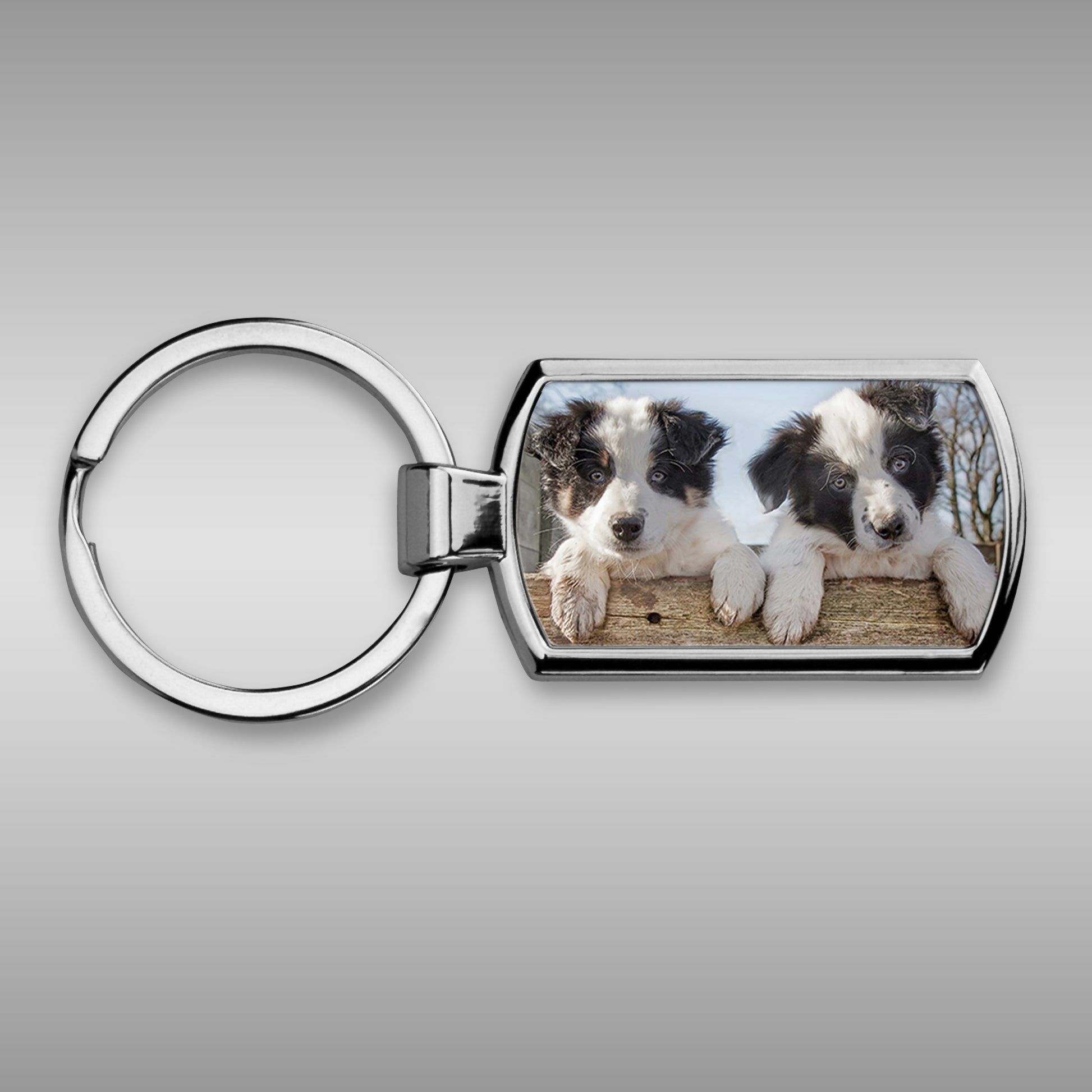 Border collie pups Keyring - just hanging out - Kitchy & Co keyring