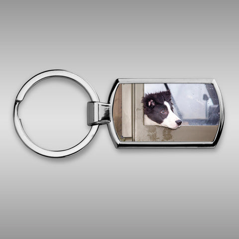 Border Collie pup Keyring - Are we nearly there yet ? - Kitchy & Co keyring