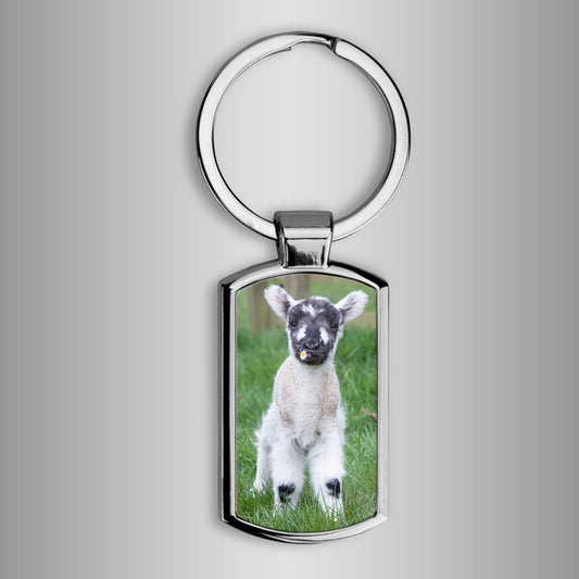 Cute lamb Keyring - I think we'll call her Daisy - Kitchy & Co keyring