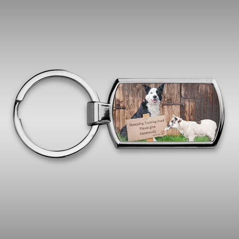Sheepdog training Keyring - Please give generously - Kitchy & Co keyring