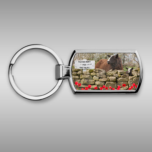 Zwartble sheep Keyring - Will Ewe resist - Kitchy & Co keyring