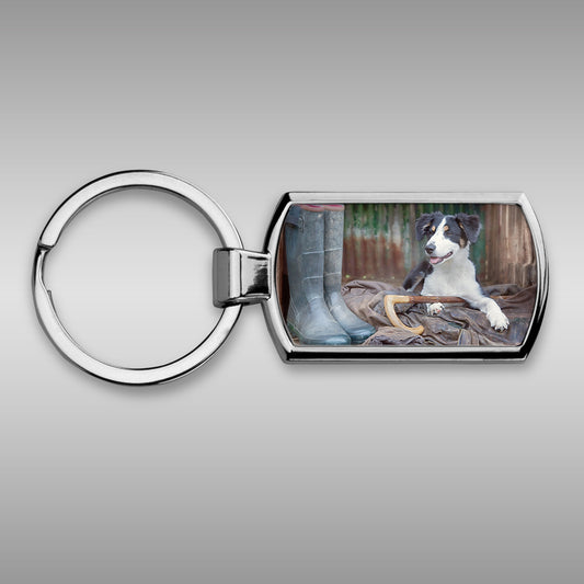 Working Sheepdog Keyring - Shepherds new helper - Kitchy & Co keyring