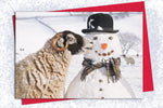 Christmas Card - Nosey Swaledale Sheep - Kitchy & Co card
