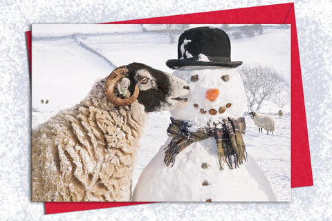 Christmas Card Pack of 5 - Nosey Swaledale Sheep - Kitchy & Co card