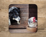 Collie drinks Coaster - Kitchy & Co glass coaster