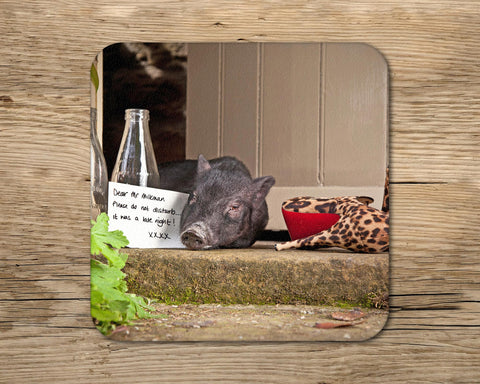 Pig drinks Coaster - Please do not disturb - Kitchy & Co glass coaster