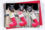 Christmas Card - Christmas Stockings - Kitchy & Co