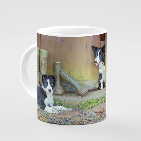 Border Collie Mug - No muddy feet - Kitchy & Co 10oz Mug Mugs