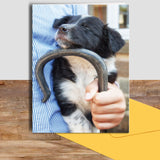 Sheepdog pup greetings card - Just resting my eyes - Kitchy & Co