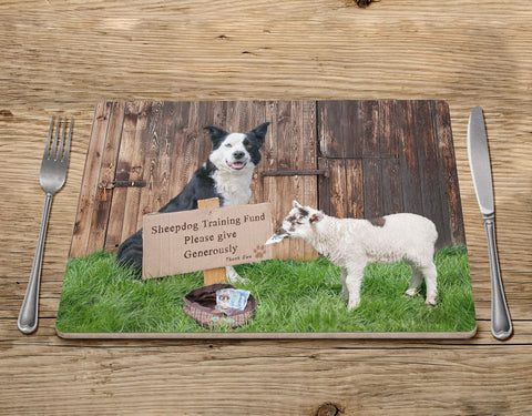Sheepdog Training Placemat - Please give generously - Kitchy & Co Placemat