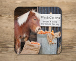 Shetland Pony Mug - Try before you buy - Kitchy & Co 10oz Mug with Matching Coaster Mugs