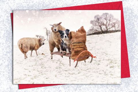 Christmas Card Pack of 5 - Emergency Rations - Kitchy & Co