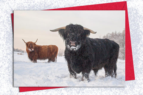 Christmas Card - Abominable Snowbull - Kitchy & Co