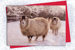 Christmas Card Pack of 5 - Snowy Swaledales - Kitchy & Co