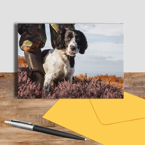 Spaniel greetings card - Ready to Spring into Action - Kitchy & Co Greeting & Note Cards