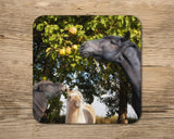 Pony drinks Coaster - Tall Friend - Kitchy & Co glass coaster