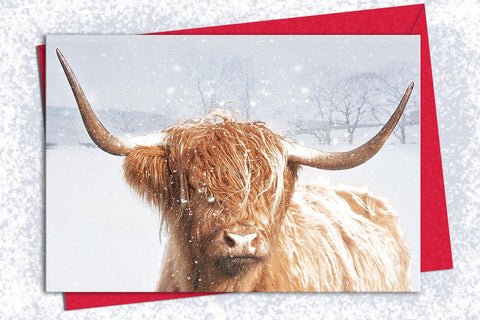 Christmas Card Pack of 5 - Winter Coat - Kitchy & Co card