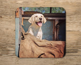 Yellow Labrador Puppy Mug - Watch and Learn - Kitchy & Co 10oz Mug with Matching Coaster Mugs